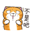 ランラン猫 37 (台湾版)（個別スタンプ：33）