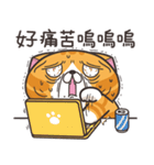 ランラン猫 37 (台湾版)（個別スタンプ：34）
