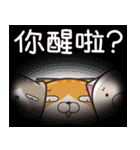 ランラン猫 37 (台湾版)（個別スタンプ：40）