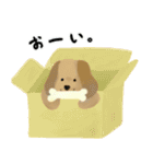 おちゃめな犬たち（個別スタンプ：27）