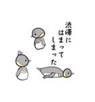 まろアニマルズの皇帝ペンギン（個別スタンプ：12）