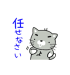 猫ぶらざー動画。Part 1（個別スタンプ：7）