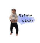 かいくんのあいさつすたんぷ（個別スタンプ：3）