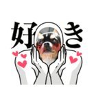 じろの日常9（個別スタンプ：5）