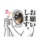 じろの日常9（個別スタンプ：6）