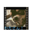 じろの日常9（個別スタンプ：9）