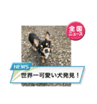 じろの日常9（個別スタンプ：26）