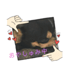 じろの日常9（個別スタンプ：32）