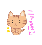 ねこねこ毎日スタンプ（個別スタンプ：2）