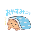 ねこねこ毎日スタンプ（個別スタンプ：4）