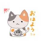 ねこねこ毎日スタンプ（個別スタンプ：5）