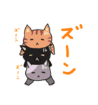 ねこねこ毎日スタンプ（個別スタンプ：20）