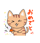 ねこねこ毎日スタンプ（個別スタンプ：24）