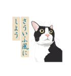 古い翻訳小説の中で暮らす猫（個別スタンプ：1）