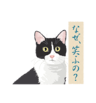 古い翻訳小説の中で暮らす猫（個別スタンプ：2）