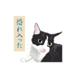 古い翻訳小説の中で暮らす猫（個別スタンプ：3）