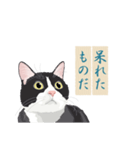 古い翻訳小説の中で暮らす猫（個別スタンプ：4）