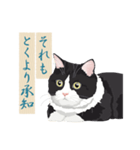 古い翻訳小説の中で暮らす猫（個別スタンプ：5）