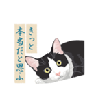 古い翻訳小説の中で暮らす猫（個別スタンプ：6）