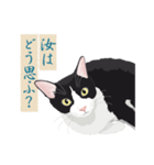 古い翻訳小説の中で暮らす猫（個別スタンプ：7）