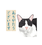 古い翻訳小説の中で暮らす猫（個別スタンプ：8）