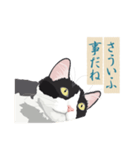 古い翻訳小説の中で暮らす猫（個別スタンプ：9）