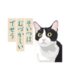 古い翻訳小説の中で暮らす猫（個別スタンプ：10）