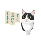 古い翻訳小説の中で暮らす猫（個別スタンプ：12）