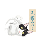 古い翻訳小説の中で暮らす猫（個別スタンプ：14）