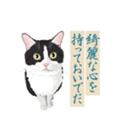 古い翻訳小説の中で暮らす猫（個別スタンプ：15）