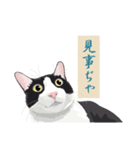 古い翻訳小説の中で暮らす猫（個別スタンプ：18）