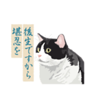 古い翻訳小説の中で暮らす猫（個別スタンプ：19）