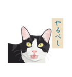 古い翻訳小説の中で暮らす猫（個別スタンプ：20）