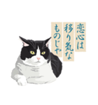 古い翻訳小説の中で暮らす猫（個別スタンプ：21）