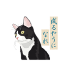 古い翻訳小説の中で暮らす猫（個別スタンプ：23）