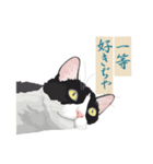 古い翻訳小説の中で暮らす猫（個別スタンプ：24）