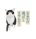 古い翻訳小説の中で暮らす猫（個別スタンプ：25）