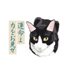 古い翻訳小説の中で暮らす猫（個別スタンプ：27）