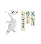 古い翻訳小説の中で暮らす猫（個別スタンプ：29）