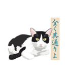 古い翻訳小説の中で暮らす猫（個別スタンプ：30）