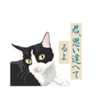 古い翻訳小説の中で暮らす猫（個別スタンプ：31）