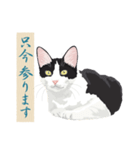 古い翻訳小説の中で暮らす猫（個別スタンプ：32）