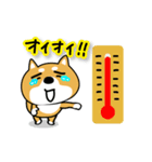 柴犬の夏。【どんだけ暑いね〜〜〜〜ん！】（個別スタンプ：3）
