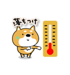 柴犬の夏。【どんだけ暑いね〜〜〜〜ん！】（個別スタンプ：4）