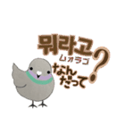 鳩ぽっぽさん 韓国語版（個別スタンプ：12）