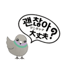 鳩ぽっぽさん 韓国語版（個別スタンプ：24）