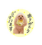 Choco♡Milk（個別スタンプ：1）