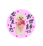 Choco♡Milk（個別スタンプ：2）