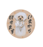 Choco♡Milk（個別スタンプ：3）