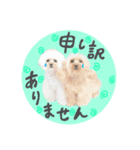 Choco♡Milk（個別スタンプ：5）